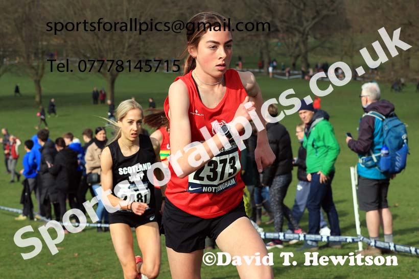 Womens Under-20s, 2024 CAU Inter Counties Cross Country Champs., Wollaton Park, Nottingham. Photo: David T. Hewitson/Sports for All Pics
